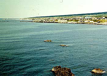 利尻島の南岸