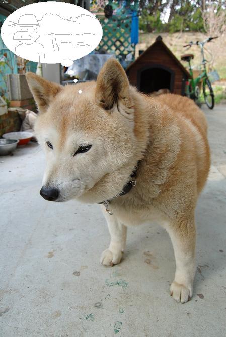 DSC_0047.JPG