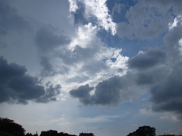 IMG_9716.JPG
