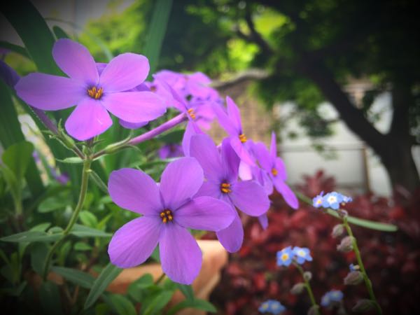 rblog-20160427174445-06.jpg