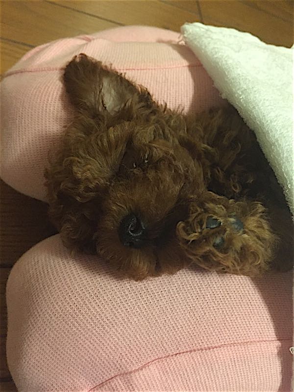 rblog-20151105222812-01.jpg