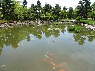 芦屋市西浜公園