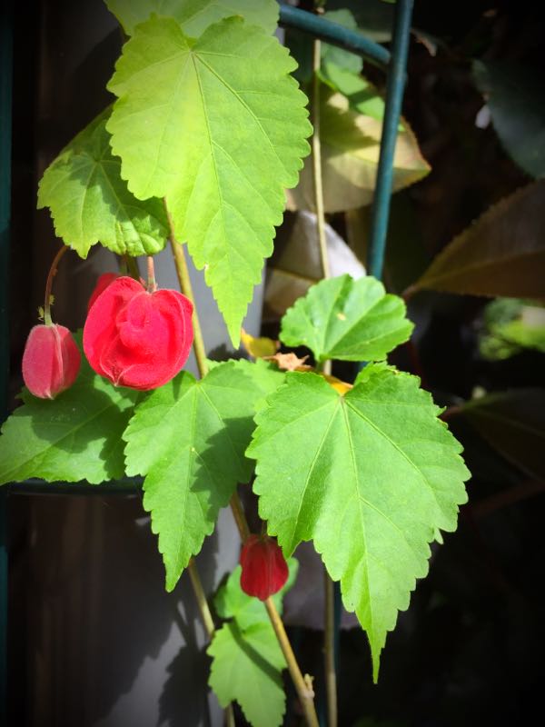 rblog-20150430203606-00.jpg