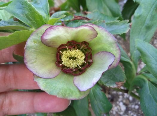 rblog-20140413204328-01.jpg