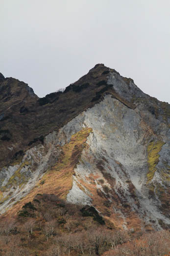 IMG_3697s.jpg