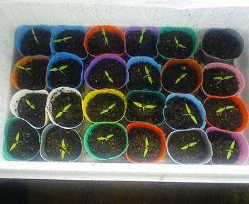 F1000043 - コピー (2).JPG