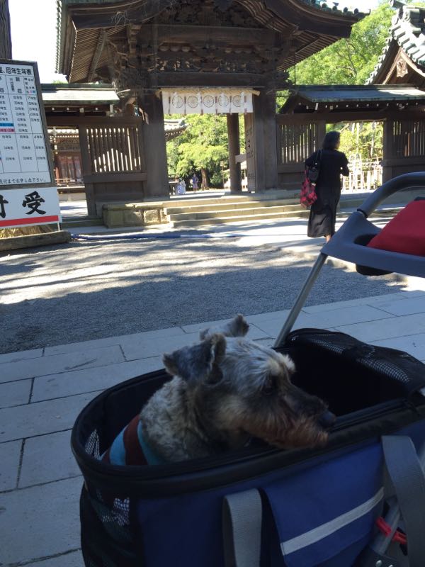 rblog-20160731080634-05.jpg