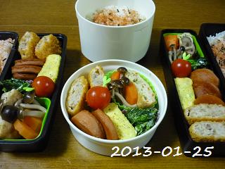 20130125a.JPG