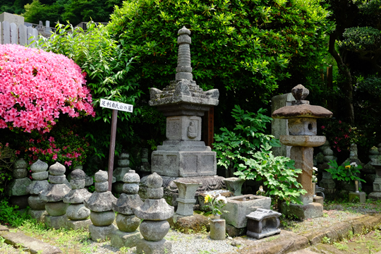 2016 06 06_6456.jpg
