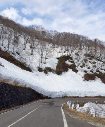 s20.jpg