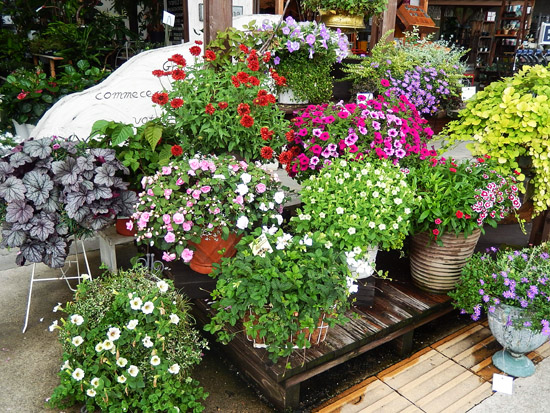 花２
