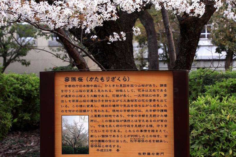 京都府庁旧本館_003.jpg