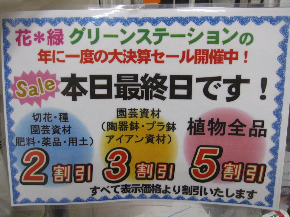 決算セール最終日