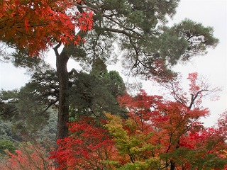 IMG_3503ss.jpg