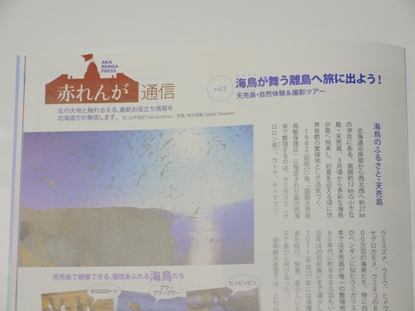 赤レンガ通信