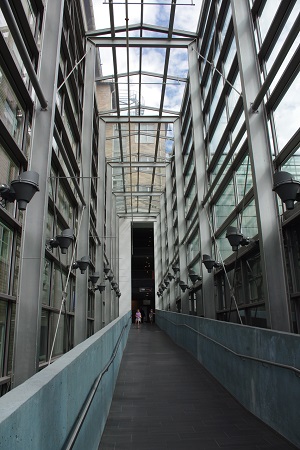 IMGP4543.JPG