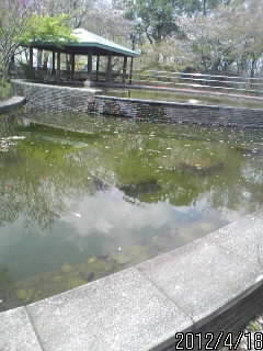 佐野城２の丸池１