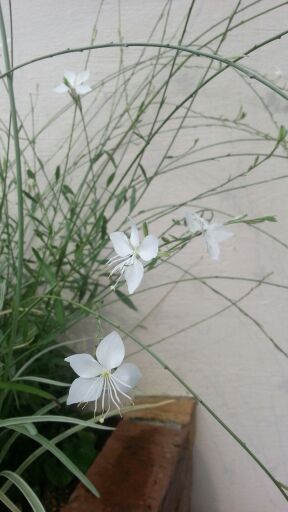 rblog-20140722210505-02.jpg