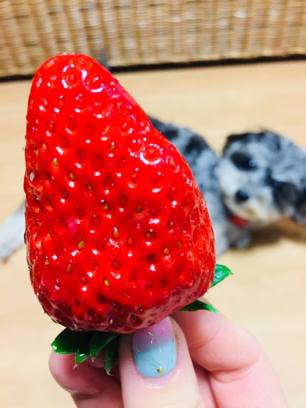 rblog-20180127152410-07.jpg