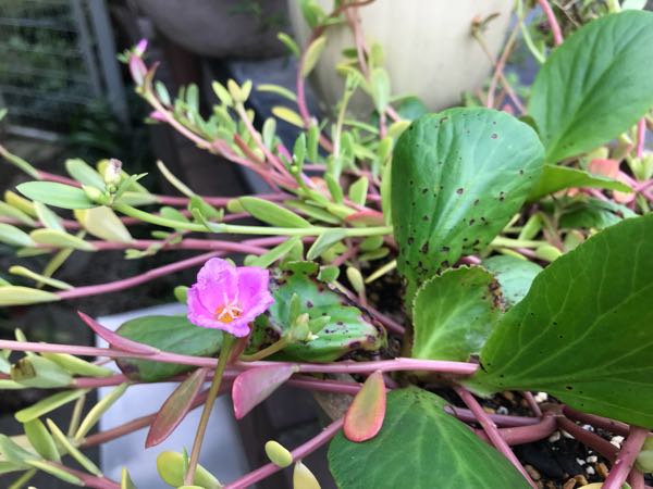 rblog-20180928162019-01.jpg
