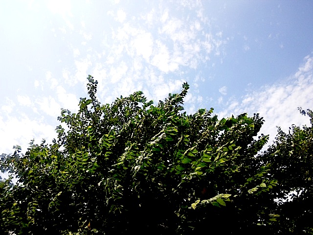 120817_120219.jpg