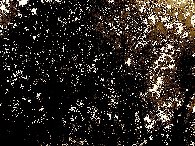 140730_161808.jpg