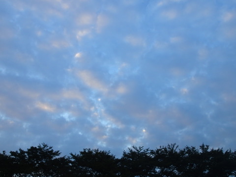 nitijou131002002