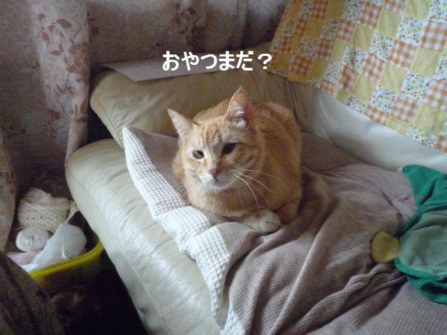 おやつまだ？