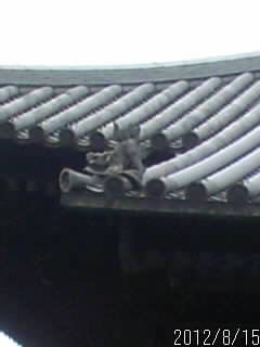 鑁阿寺の狛犬３