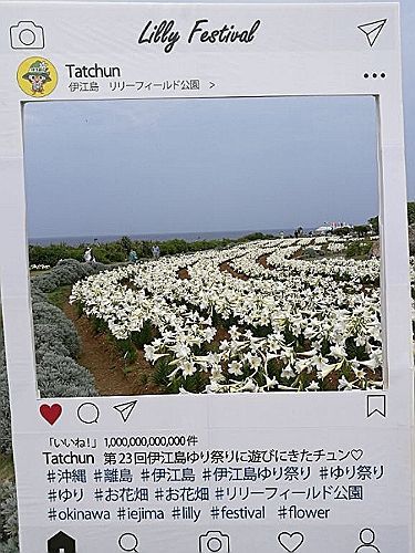 rblog-20180503090115-01.jpg