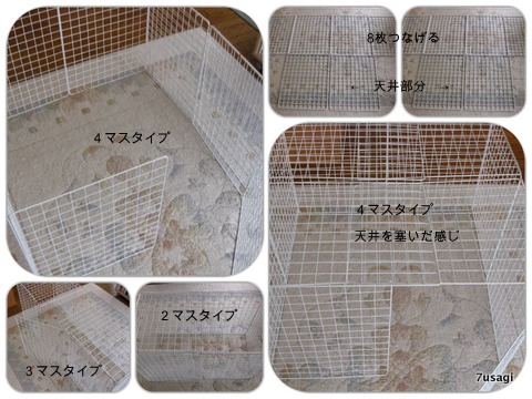 IMG_5452_Fotor_Collage-001.jpg
