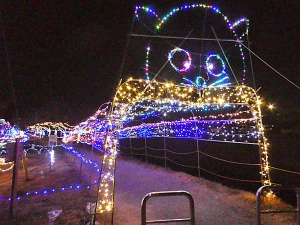 青淵公園と深谷駅前イルミネーション2025 | 見栄子の熊谷らいふ