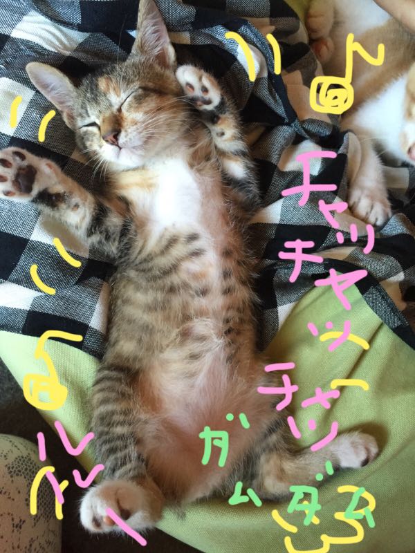 rblog-20150714223758-03.jpg