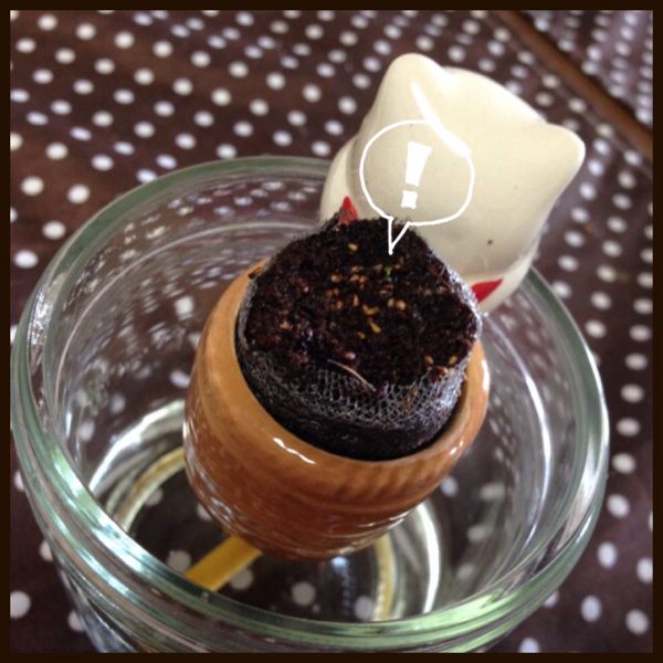 rblog-20140929143545-01.jpg