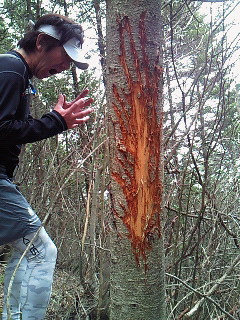 お願いだから出てこないでね！