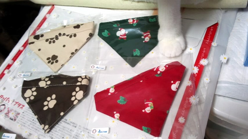 141018-Tissue-s-Trunk2