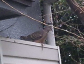 20120626_1.jpg