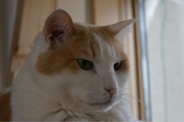 rblog-20170514125356-02.jpg