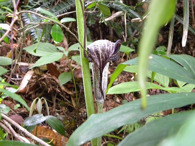 DSCN8924.jpg