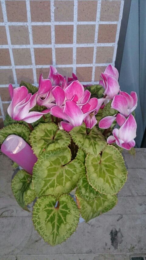 rblog-20151127162242-01.jpg