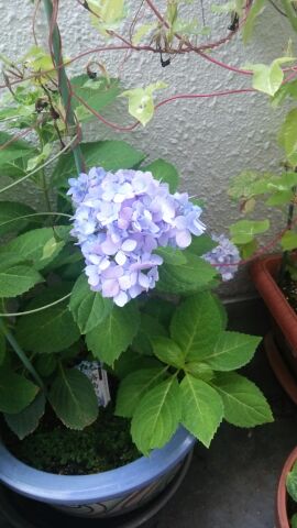 rblog-20140906125843-01.jpg