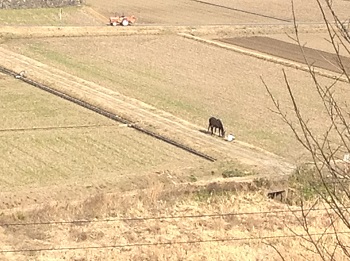20130309-1.jpg