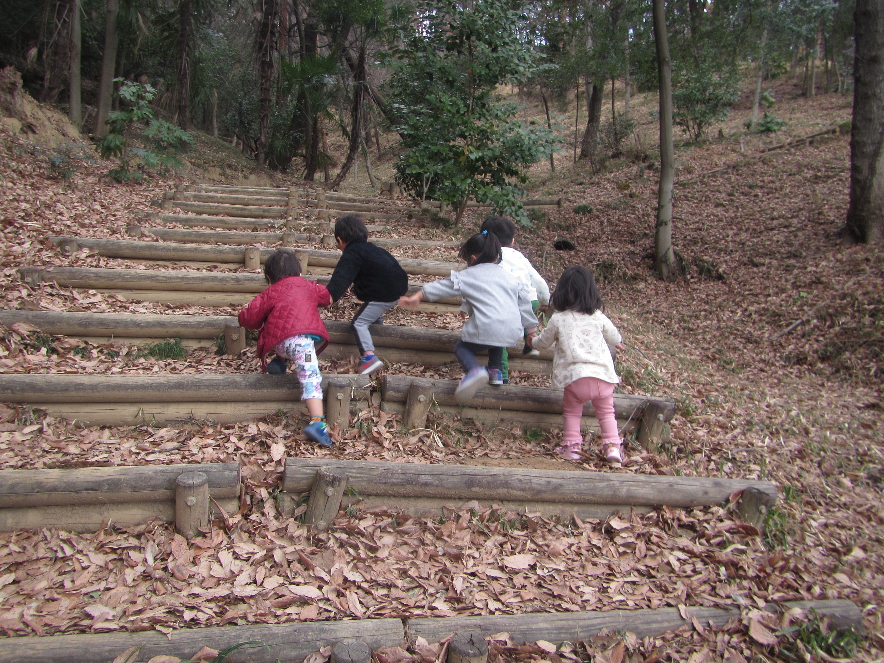 金山登山 | 認定こども園 アプリコット保育園 - 楽天ブログ