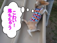 20121005すべり台