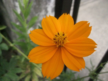 IMG_9830.JPG