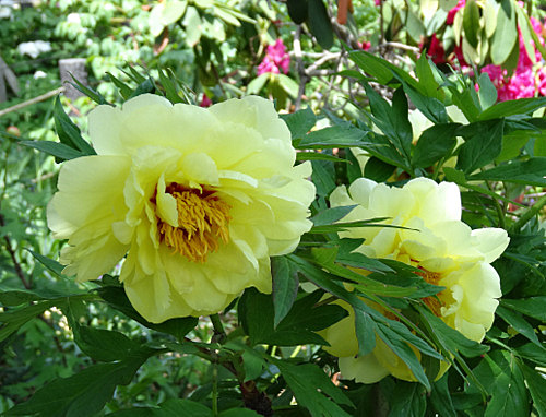 204-001.JPG
