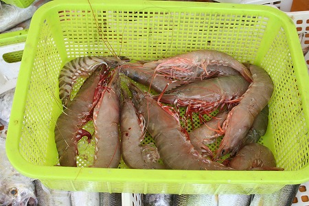 s-IMG_0601.jpg