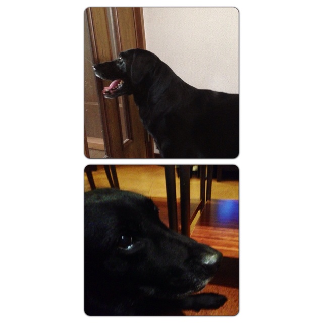 rblog-20130817215714-00.jpg