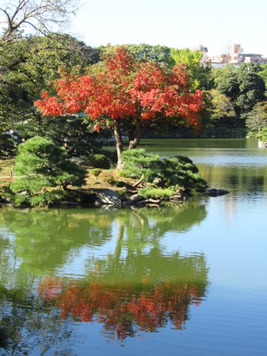 清澄庭園にて