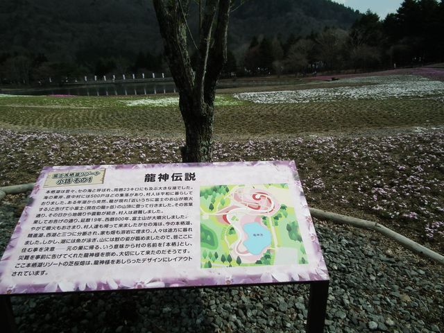 DSCF3787.JPG